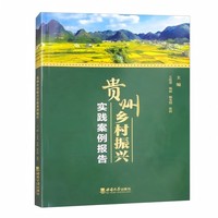 贵州乡村振兴实践案例报告