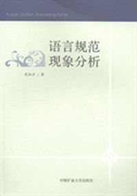 语言规范现象分析