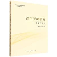 青年干部培养：政策与实践