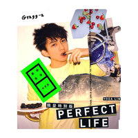美妙生活 林宥嘉 限量特别版(CD)