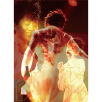 梅艳芳/1997芳踪乍现台北演唱实录（DVD）