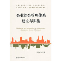 企业综合管理体系建立与实施