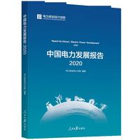 中国电力发展报告 2020