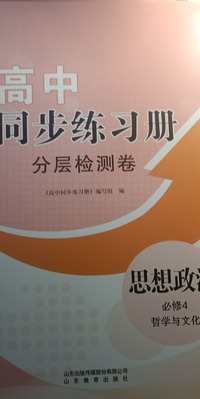 高中同步练习册 分层检测卷 思想政治