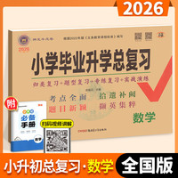 2026适用 小学毕业升学总复习 小升初数学人教版 小学数学升学总复习试卷模拟题练习真题演练