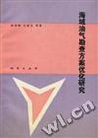 海域油气勘查方案优化研究