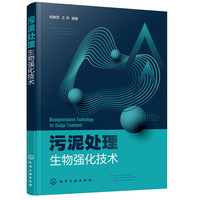 污泥处理生物强化技术