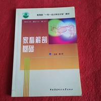 家畜解剖基础