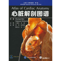 心脏解剖图谱