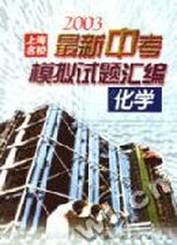 最新中考模拟试题汇编 化学
