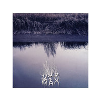 低苦艾… (CD)