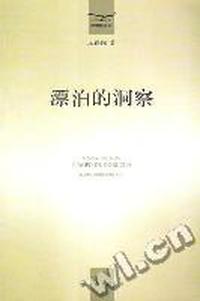 漂泊的洞察