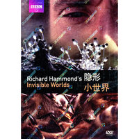 隐形小世界(DVD)