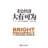 非公经济大有可为：全2册
