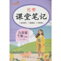 化学课堂笔记. 九年级 下册（RJ版）