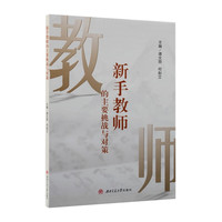 新手教师的主要挑战与对策