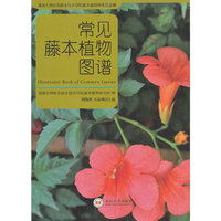 常见藤本植物图谱
