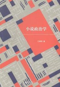 小说政治学
