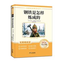 初中 钢铁是怎样炼成的