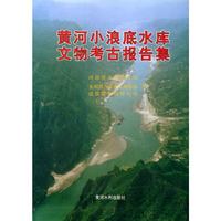 黄河小浪底水库文物考古报告集