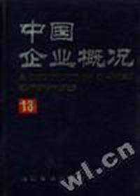 中国企业概况(13)