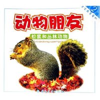 松鼠和丛林动物/宝宝最喜爱的动物朋友(宝宝最喜爱的动物朋友)