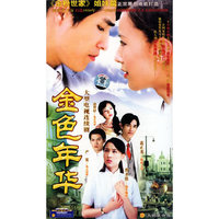 金色年华 大型电视连续剧十五碟装(DVD)