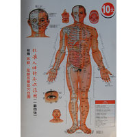 标准人体针灸穴位图（附赠耳部.足部反射区穴位图）