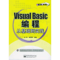 Visual Basic 编程从基础到实践