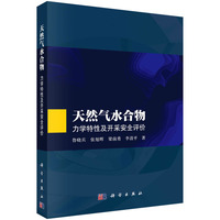 天然气水合物：力学特性及开采安全评价