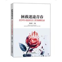 拯救迷途青春：青少年司法社会工作案例实录