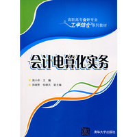 会计电算化实务-高职高专