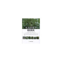 无公害菜豆高效栽培