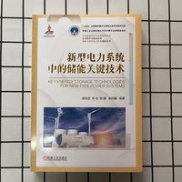 新型电力系统中的储能关键技术  徐桂芝 宋洁 郜捷 梁丹曦 等   电-氢耦合 氢能 双碳