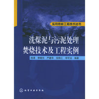 洗煤泥与污泥处理焚烧技术及工程实例——实用热能工程技术丛书