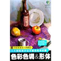色彩色调与形体（光盘）