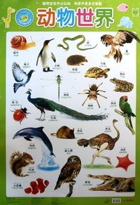 新小海豚挂图 动物世界