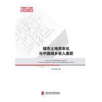城市土地资本化与中国城乡收入差距