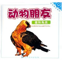 鹰和鸟类/宝宝最喜爱的动物朋友(宝宝最喜爱的动物朋友)