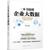 一本书搞懂企业大数据