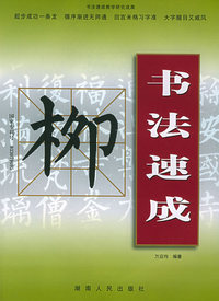 柳体玄秘塔/书法速成