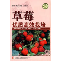 草莓优质高效栽培