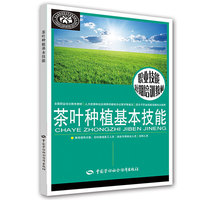 茶叶种植基本技能