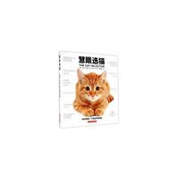 慧眼选猫
