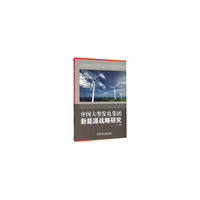 中国大型发电集团新能源战略研究