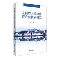 安徽省土地储备资产负债表研究