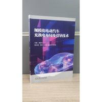 规模化电动汽车充换电布局及引导技术    袁晓冬    电动汽车充电