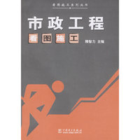 市政工程看图施工(看图施工系列丛书)