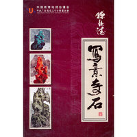孙钰德 写意奇石 五片装(DVD)