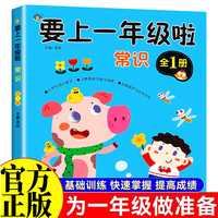 要上一年级啦常识 一日一练基础练习同步训练人教版幼升小学前班入学准备教材大班升一年级汉语拼音练习册幼儿园数学练习题综合专项训练语文